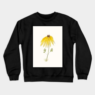 Yellow Cone Flower Sketch in Pen, Ink, and Watercolor Crewneck Sweatshirt